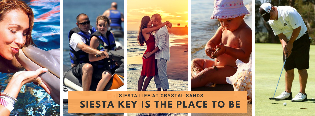 Siesta Life Siesta Key Condo Rentals Crystal Sands